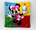迪士尼卡通圖案CUSHION 咕𠱸坐墊 30X30CM (4)（原價＄58 特價：＄29）