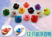 12 只裝彩色浮遊鴨（原價：＄85 特價：＄46）