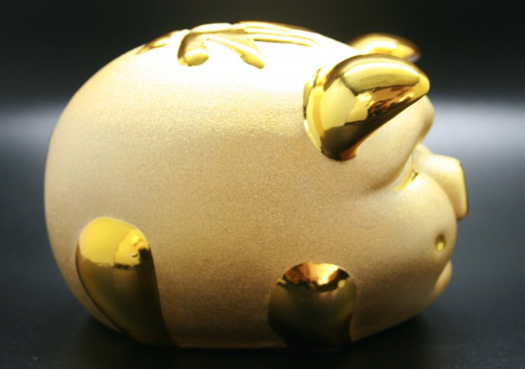 可爱储蓄金财猪(原价:$168 特价:$143) - 关闭视窗 >> 可点击图片