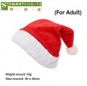 Plush Santa Christmas Hats (Xmas) (Christmas Holiday)