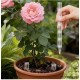 3條植物根部通風管（盆栽盆栽施肥塑膠管）